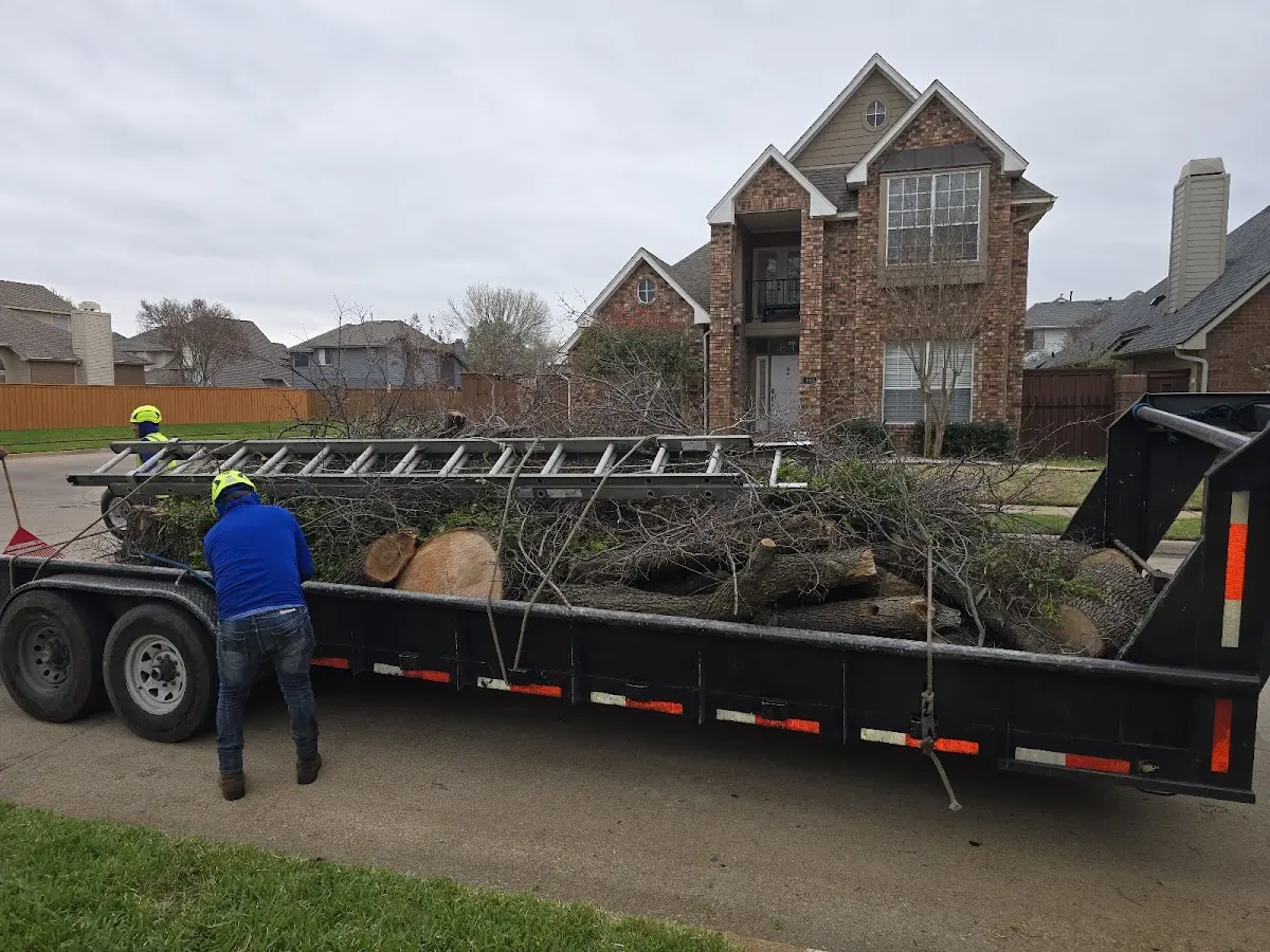 Expert Tree Fertilization with proper safety equipment in Bluffs